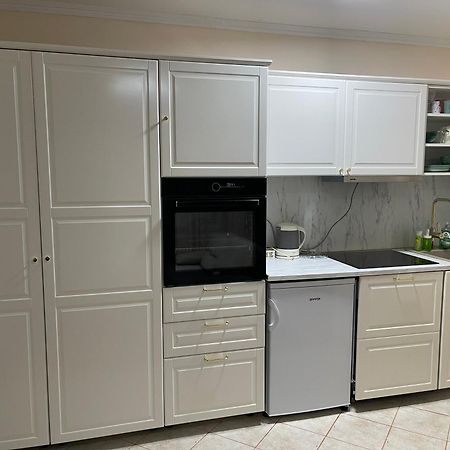 Apartman Gagi ズラティボール エクステリア 写真