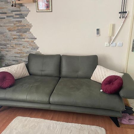 Apartman Gagi ズラティボール エクステリア 写真